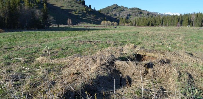 Ученые нашли заброшенную деревню в Катунском заповеднике
