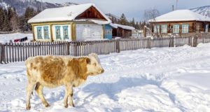 Погода в начале декабря: без осадков, возможны оттепели