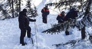 Тело попавшего под лавину охотника нашли в Усть-Коксинском районе