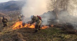 Виновника пожара в районе Бочкаревки привлекли к ответственности