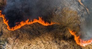 В Онгудайском районе тушат природные пожары