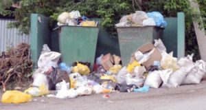 Директора «Коммунальщика» оштрафовали за несвоевременный вывоз мусора