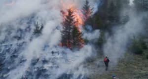 Из-за преступной небрежности местного жителя сгорело несколько гектаров леса