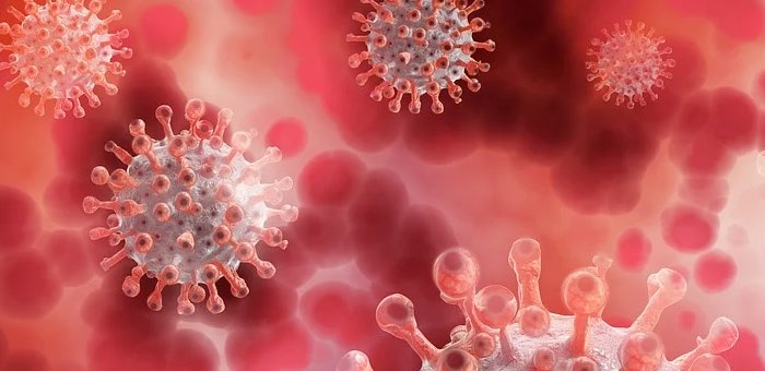 За сутки выявлено 28 случаев заражения коронавирусом