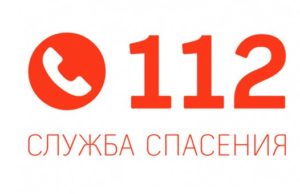 За год жители Республики Алтай вызвали скорую помощь почти 16 тыс. раз