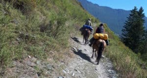 Предвыборная романтика: бюллетени доставили на лошадях на высоту 2,5 тыс. м над уровнем моря