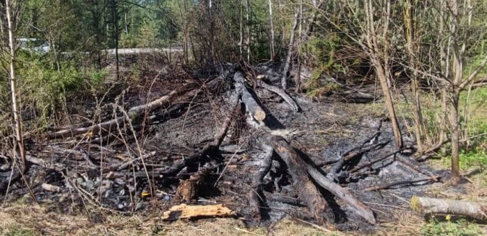 С начала сезона на Алтае произошло десять лесных пожаров