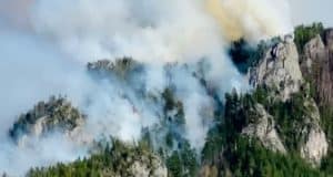 За неделю на Алтае произошло восемь лесных пожаров