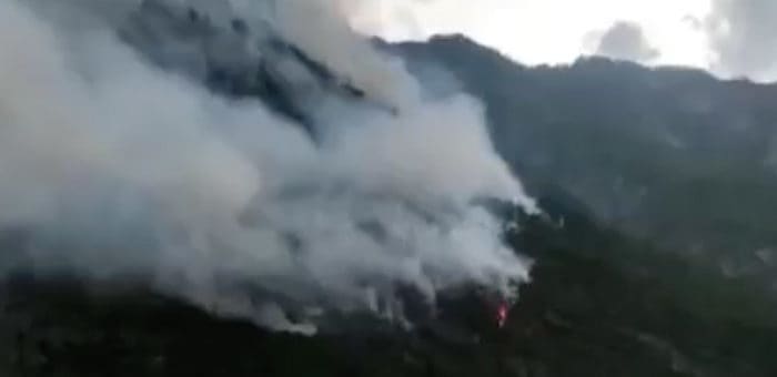 11 лесных пожаров произошло с начала сезона на Алтае