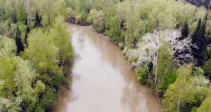 154 километра рек и озер очистили участники акции «Вода России» в Республике Алтай