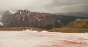 Ученые обнаружили на Алтае «кровавый» ледник