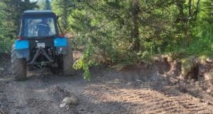 В Чойском районе прокладывают лесные дороги