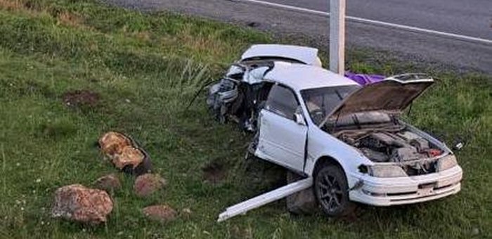 В Шебалино Toyota сбила собаку и врезалась в опору ЛЭП: погибла молодая туристка