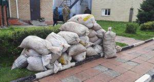 В Усть-Коксинском районе задержали браконьеров, собравших 600 кг «золотого корня»
