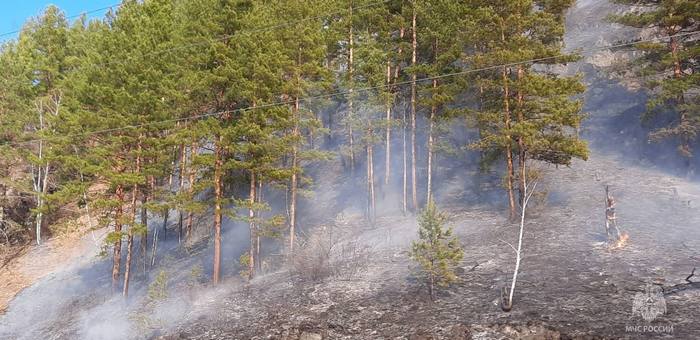 Лесной пожар тушат в Улаганском районе