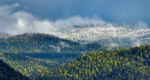 Снег в горах Алтайского заповедника выпал на месяц позже