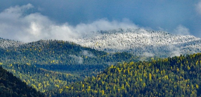 Снег в горах Алтайского заповедника выпал на месяц позже обычного