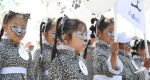 1 июня в Кош-Агаче пройдет эко-фестиваль «Земля снежного барса»
