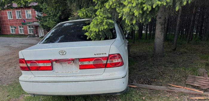 В Усть-Коксе женщина на «Тойоте» протаранила забор и врезалась в дерево 