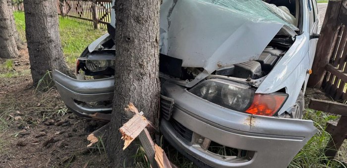 В Усть-Коксе женщина на «Тойоте» протаранила забор и врезалась в дерево