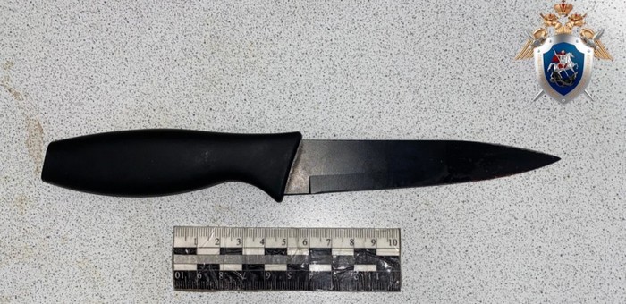 В Турочаке пьяная тетя пырнула ножом 15-летнюю племянницу