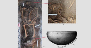 Кочевника с головой барана нашли в древнем захоронении на Алтае