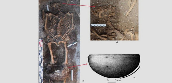 Кочевника с головой барана нашли в древнем захоронении на Алтае