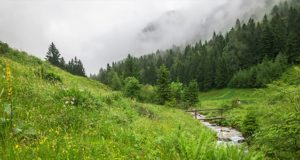 Прогноз погоды: дожди сохраняются