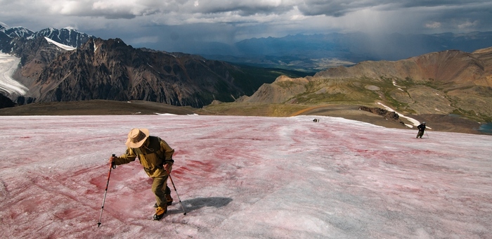 Ледники в Горном Алтае окрасились в красный цвет