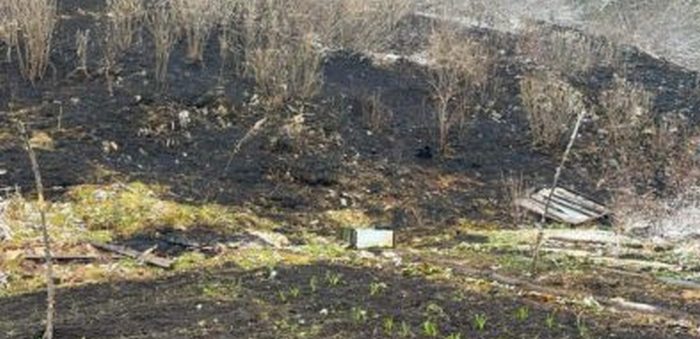 Три лесных пожара действуют в Республике Алтай