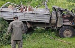 Водитель грузовика осужден за смертельное ДТП по дороге на Каракольские озера