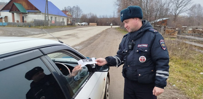 В республике пройдет профилактическое мероприятие «Водитель — пешеход»