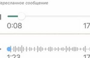 «Идиот, скотина, тварь!»: конфликтом между учеником и педагогом сельской школы заинтересовались правоохранители