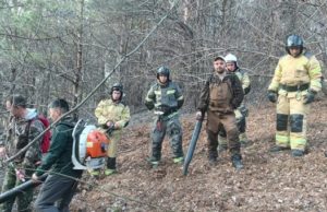 Дети разводили костры на Тугае и устроили пожар