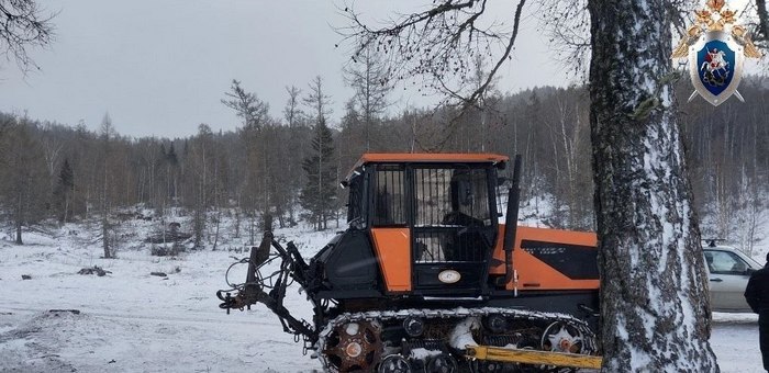 Работники лесхоза пойдут под суд за падение дерева на человека