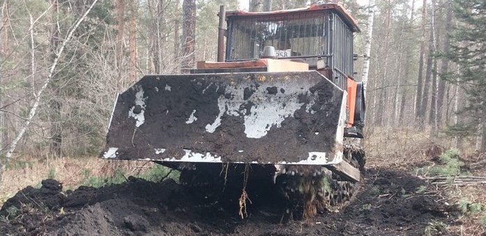 В Чемальском районе построят четыре километра лесных дорог