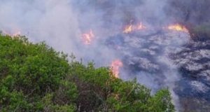 На Алтае завершен пожароопасный сезон