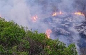 На Алтае завершен пожароопасный сезон