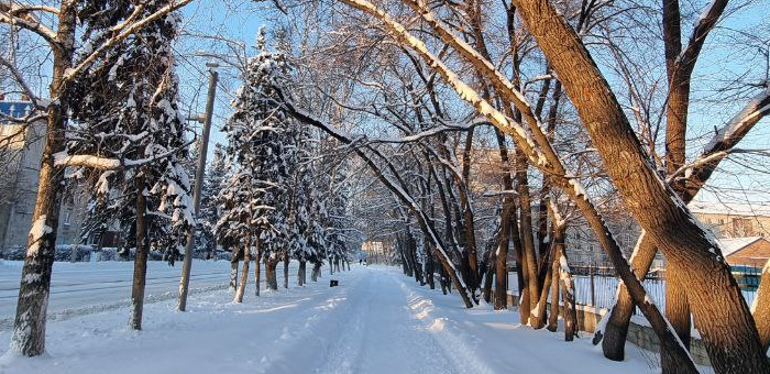 Начало декабря будет на Алтае достаточно теплым