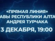 Андрей Турчак проводит «Прямую линию»