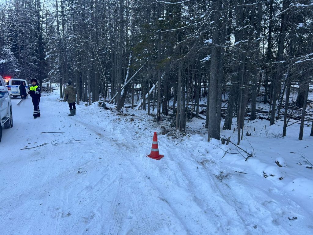 Иномарка влетела в дерево недалеко от Улагана, пострадала автоледи